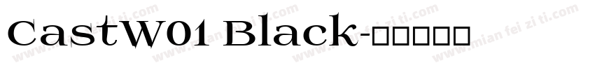 CastW01 Black字体转换